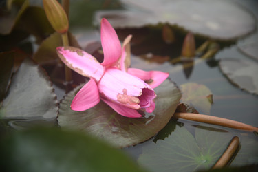 Similar image 22347974