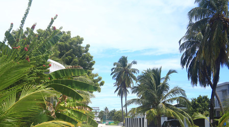 Similar image 22347975