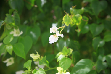 Similar image 22347977