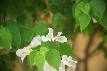 Similar image 22347980