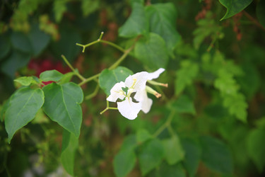 Similar image 22347981