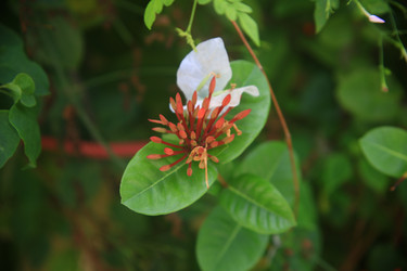 Similar image 22347982