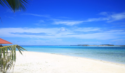 Similar image 22347985