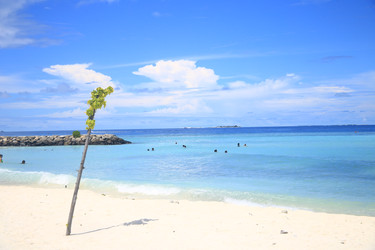 Similar image 22347986