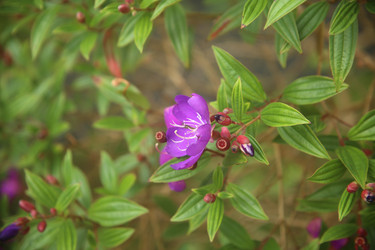 Similar image 22347987