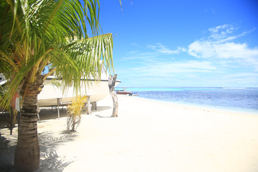 Similar image 22347988