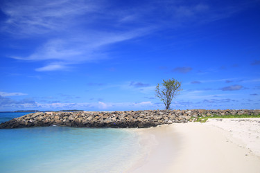 Similar image 22347989