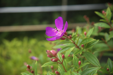 Similar image 22347990