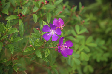 Similar image 22347991