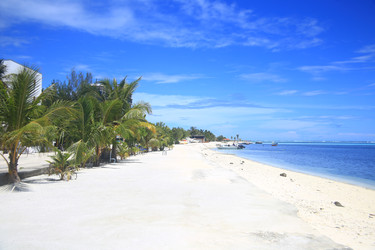 Similar image 22347992