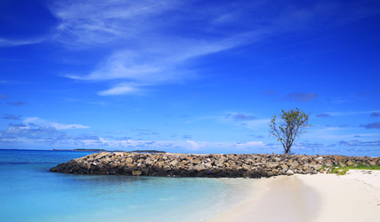 Similar image 22347993