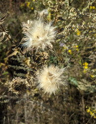 Similar image 22342024