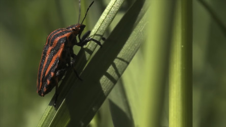 Similar image 22347244