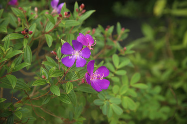 Similar image 22347994