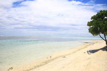 Similar image 22347996