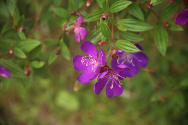 Similar image 22347997