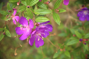 Similar image 22347998