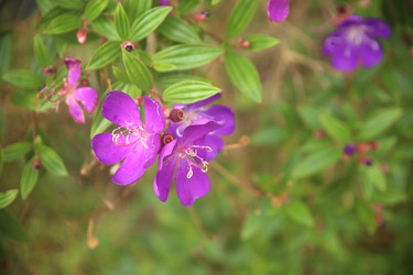 Similar image 22347999