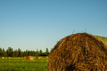 Similar image 22345936