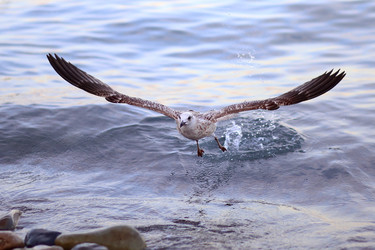 Similar image 22343694