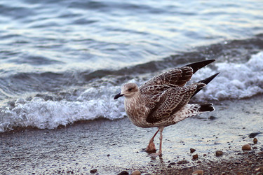 Similar image 22343697