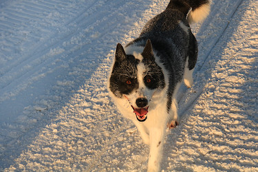 Similar image 22342232