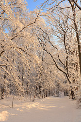 Similar image 22342233