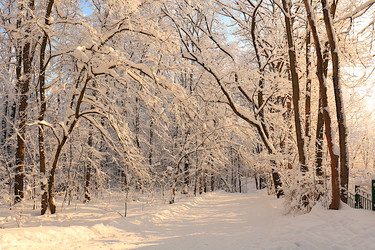 Similar image 22342235