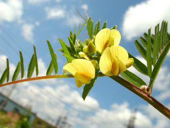 Similar image 22346046