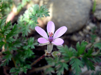 Similar image 22346048