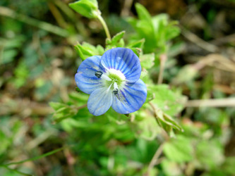 Similar image 22346050