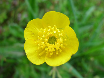 Similar image 22346100