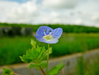 Similar image 22346103