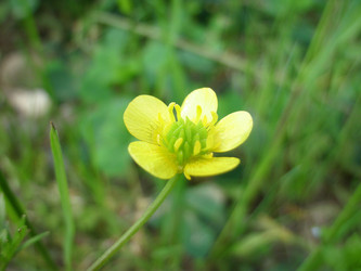 Similar image 22346105