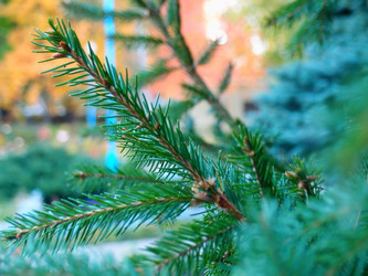 Similar image 22346054