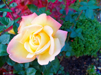 Similar image 22346056