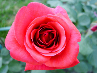 Similar image 22346058