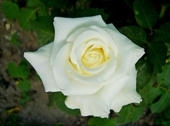 Similar image 22346107