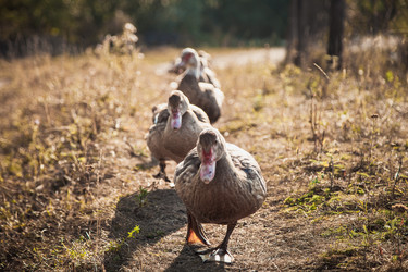 Similar image 22348092