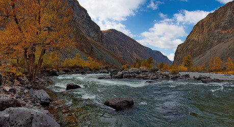 Similar image 22348185