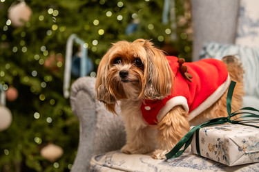 Similar image 22348094