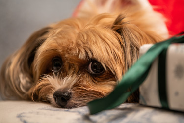 Similar image 22348095