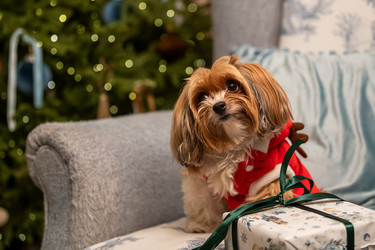 Similar image 22348097