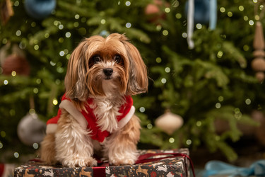 Similar image 22348098