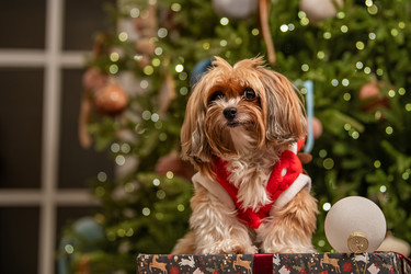 Similar image 22348099