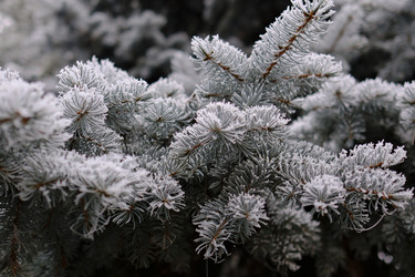 Similar image 22348145