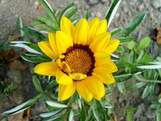 Similar image 22348043