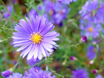 Similar image 22348044