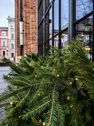 Similar image 22348117