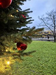 Similar image 22348122